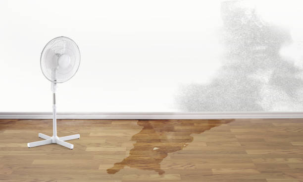 Best Water damage restoration near me  in Mount Vernon, IA