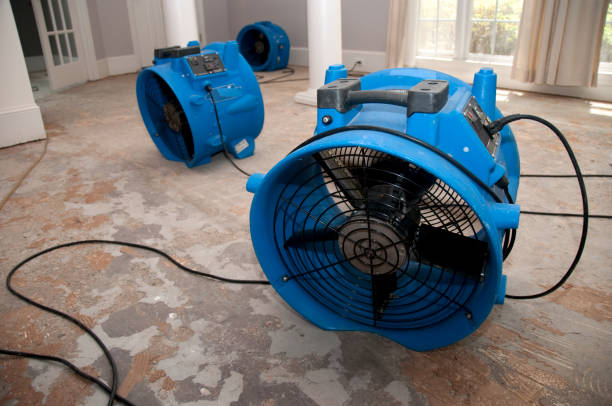 Best Emergency water damage restoration  in Mount Vernon, IA