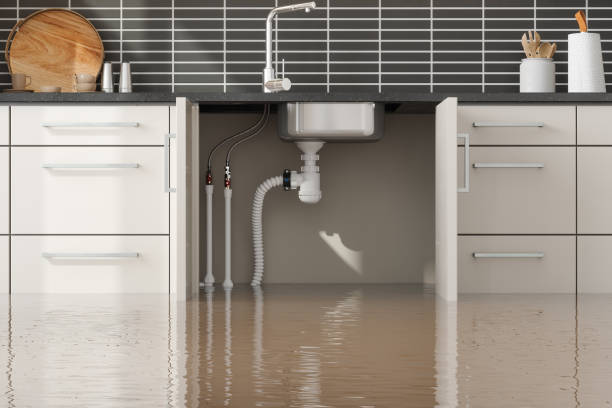 Best Basement water damage restoration  in Mount Vernon, IA