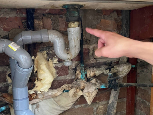 Best Local water damage restoration  in Mount Vernon, IA